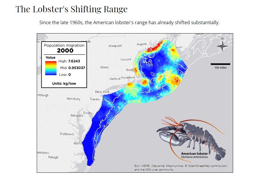 As Lobsters Shift North Due to Rising Temps, RI Fishing Industry